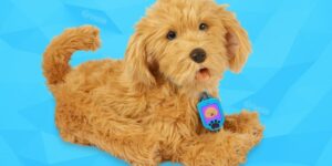 Are Companion Pet Toys Ok For Kids