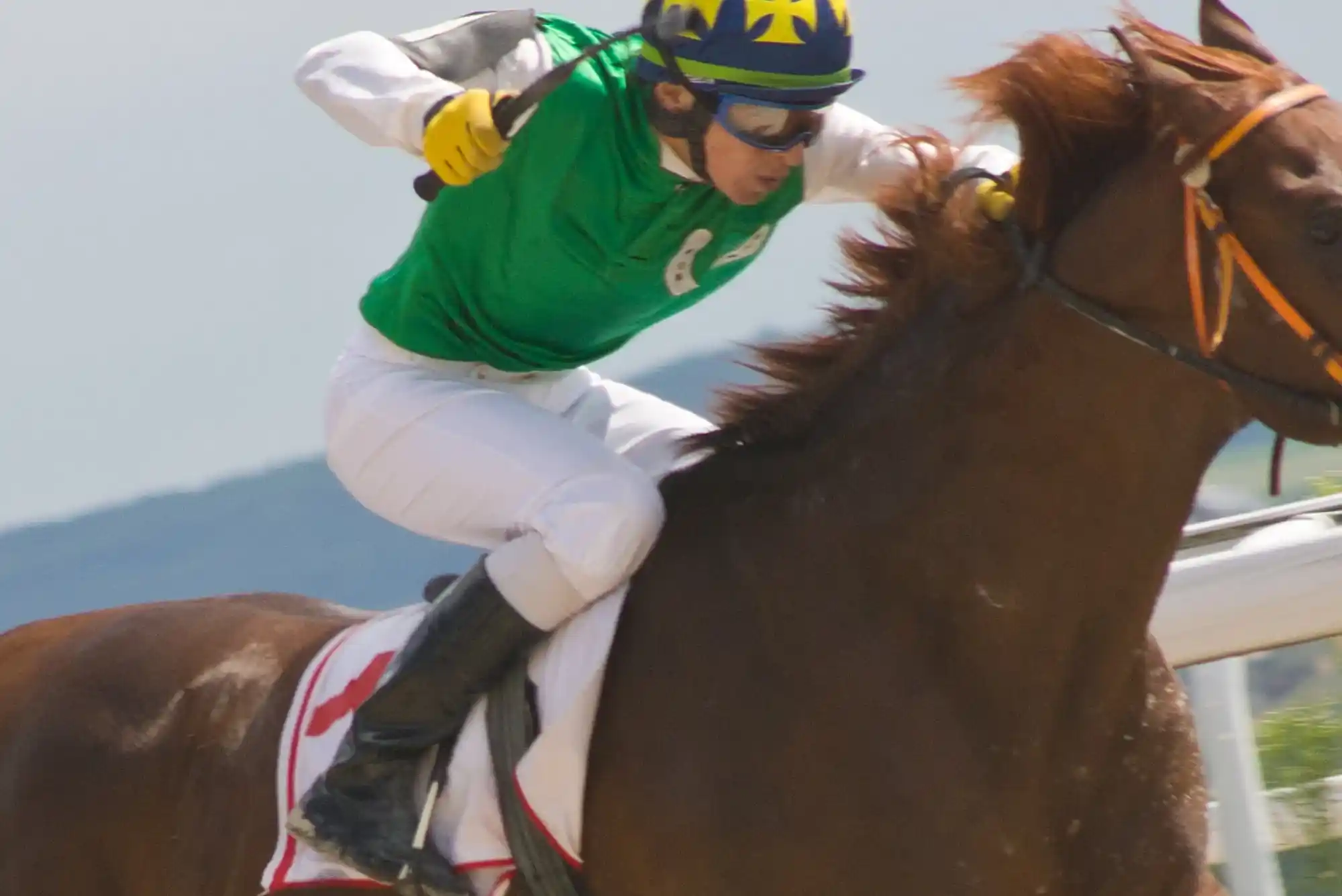 What Factors to Consider Before Horse Racing Betting